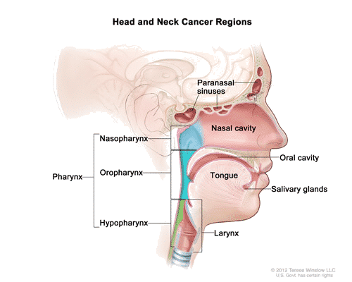 imageedit_1_6598252255